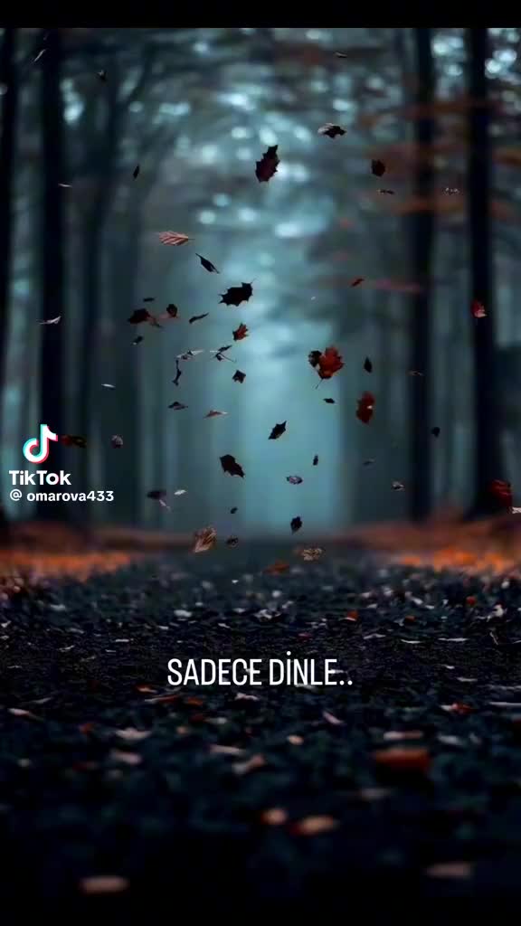 @𝓤𝓯𝓾𝓴𝓐𝓭𝓮𝓶🏳️