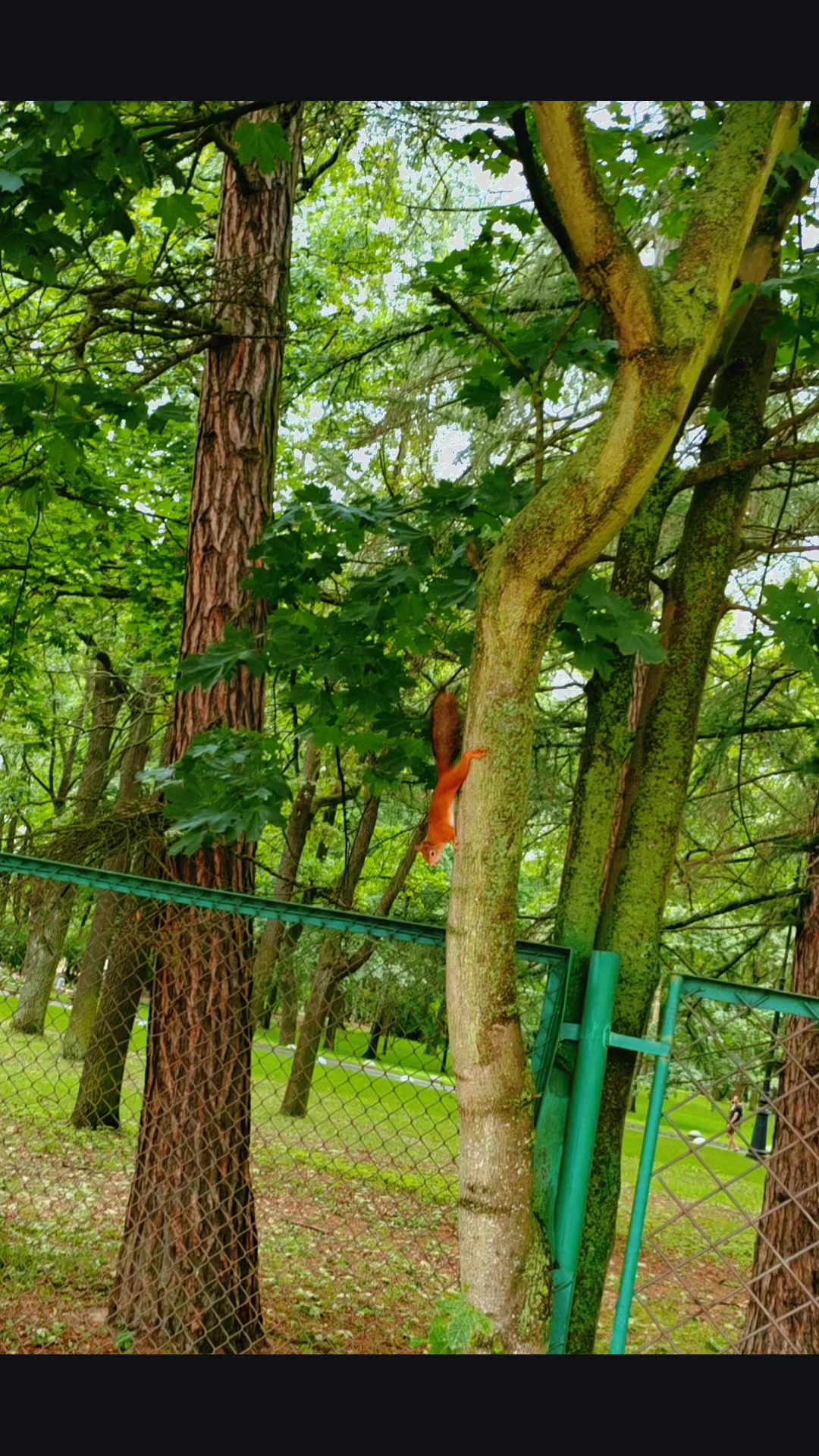 @โ๏ธ๐
๏ธ๐
๏ธ๐
๏ธ๐
๏ธ๐
๏ธ๐
ฃ๏ธ๐
๏ธ๐
๏ธโ๏ธ