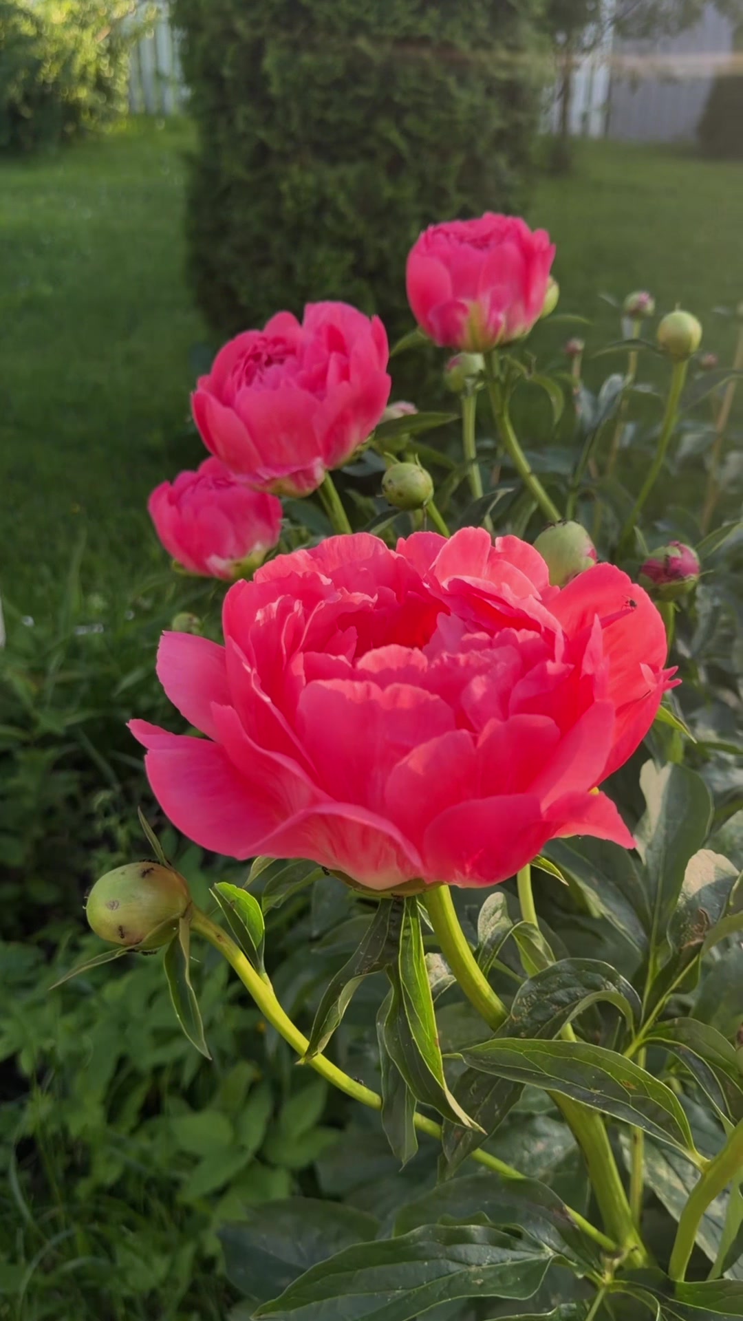 @Анна Гречиха