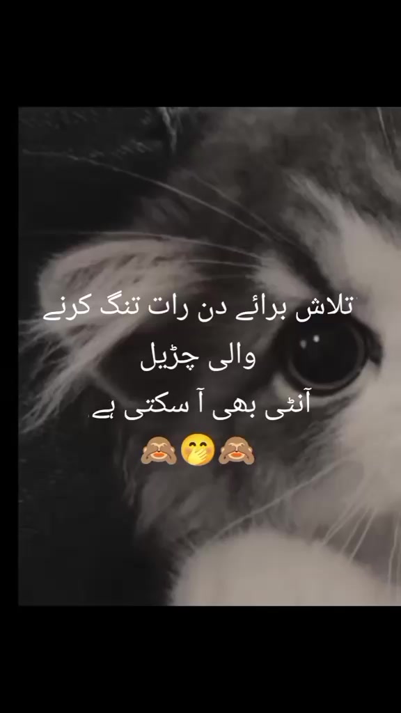@aunty lover