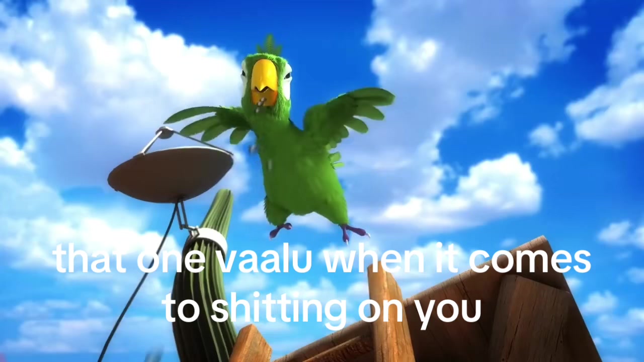 @alho0e