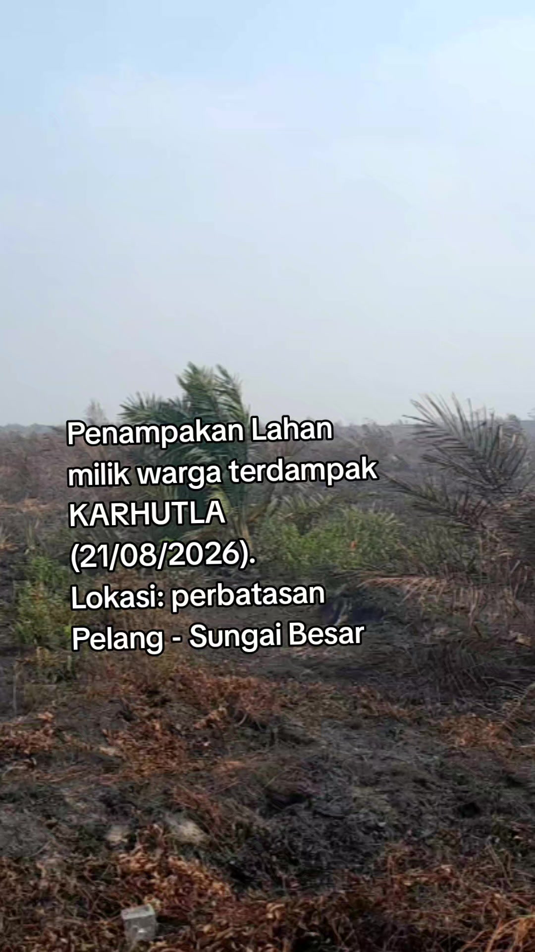 @Halomoan Mestoko Aritonang