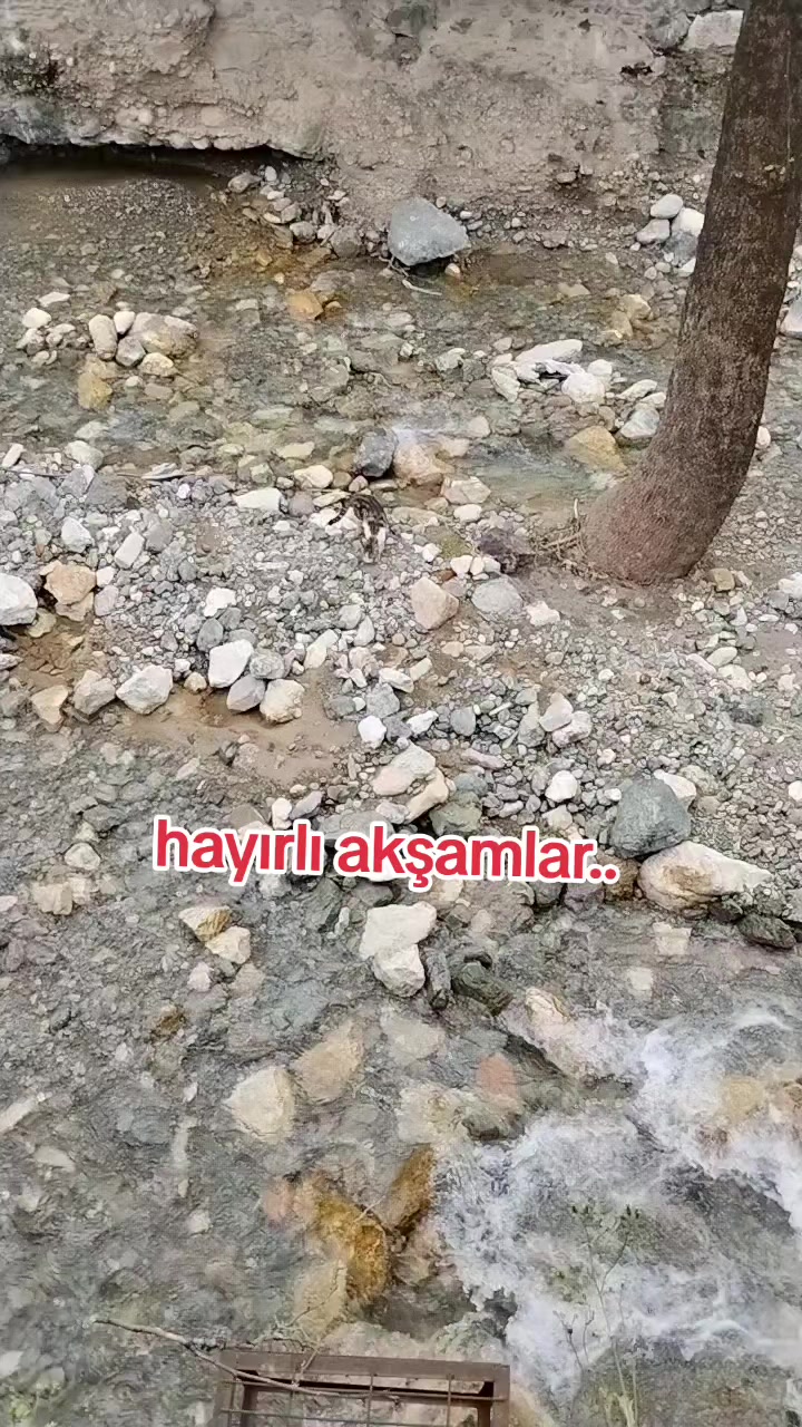 @🇹🇷͜͜͡͡✯YüReĞi GüZeL🇹🇷͜͜͡͡✯