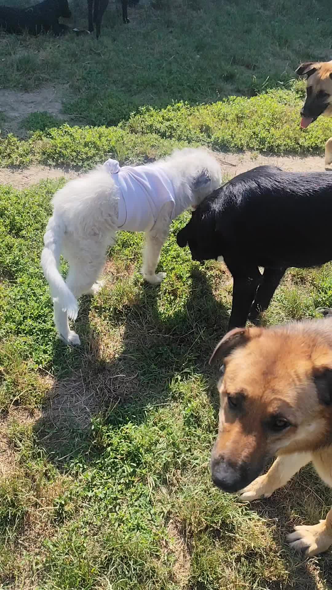 @Io e la mia karmela 🥰