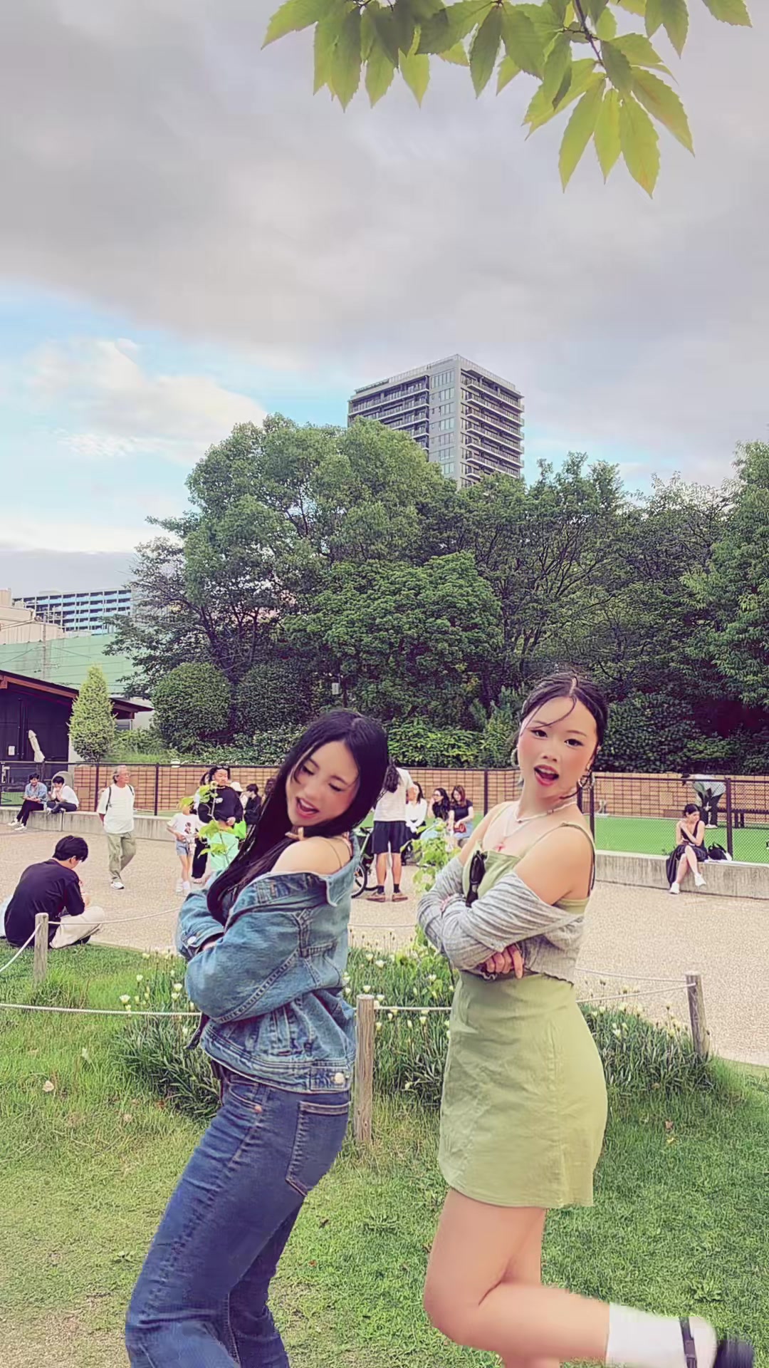 @shuuuri🐆