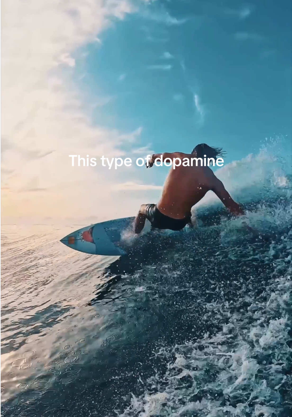 @Wade Papenfus | Offshore Tales