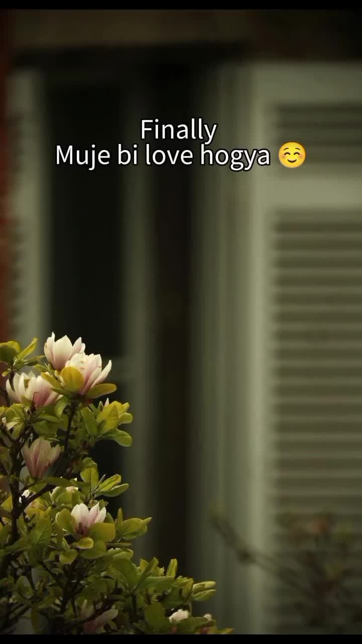 @@𝄟✮⃝humaira☆࿐:🦋⃟🦋⃟