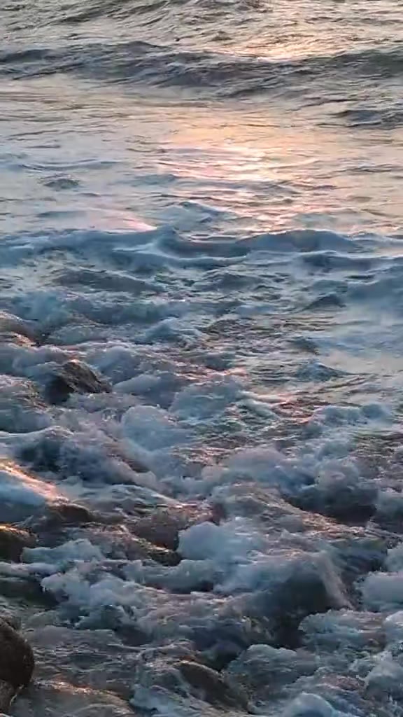 @ordu5252