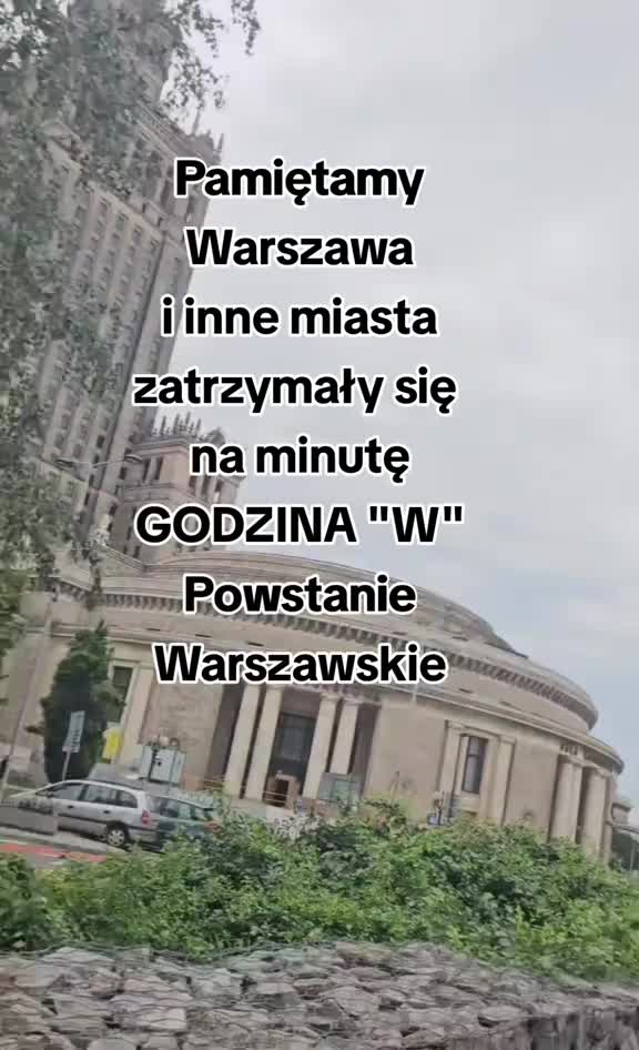 @LusiaFoniewicz TAXI 🐇 Stuart
