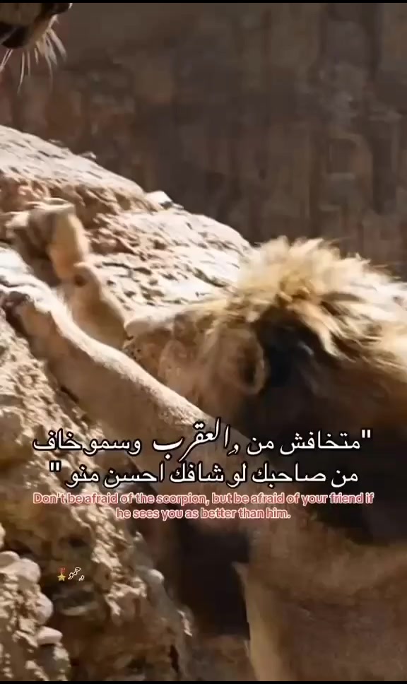 @فــارس//𝑭𝑨𝑹𝑰𝑺•🥷🏻🖤