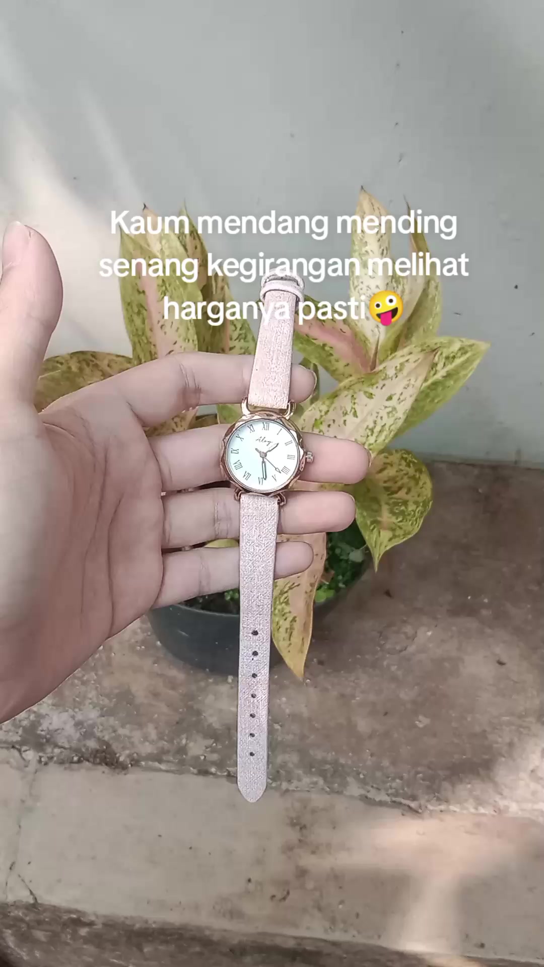 @S-tetik 🛒