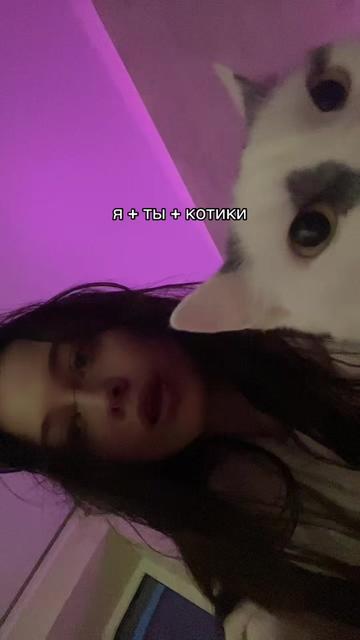 @nyan<33