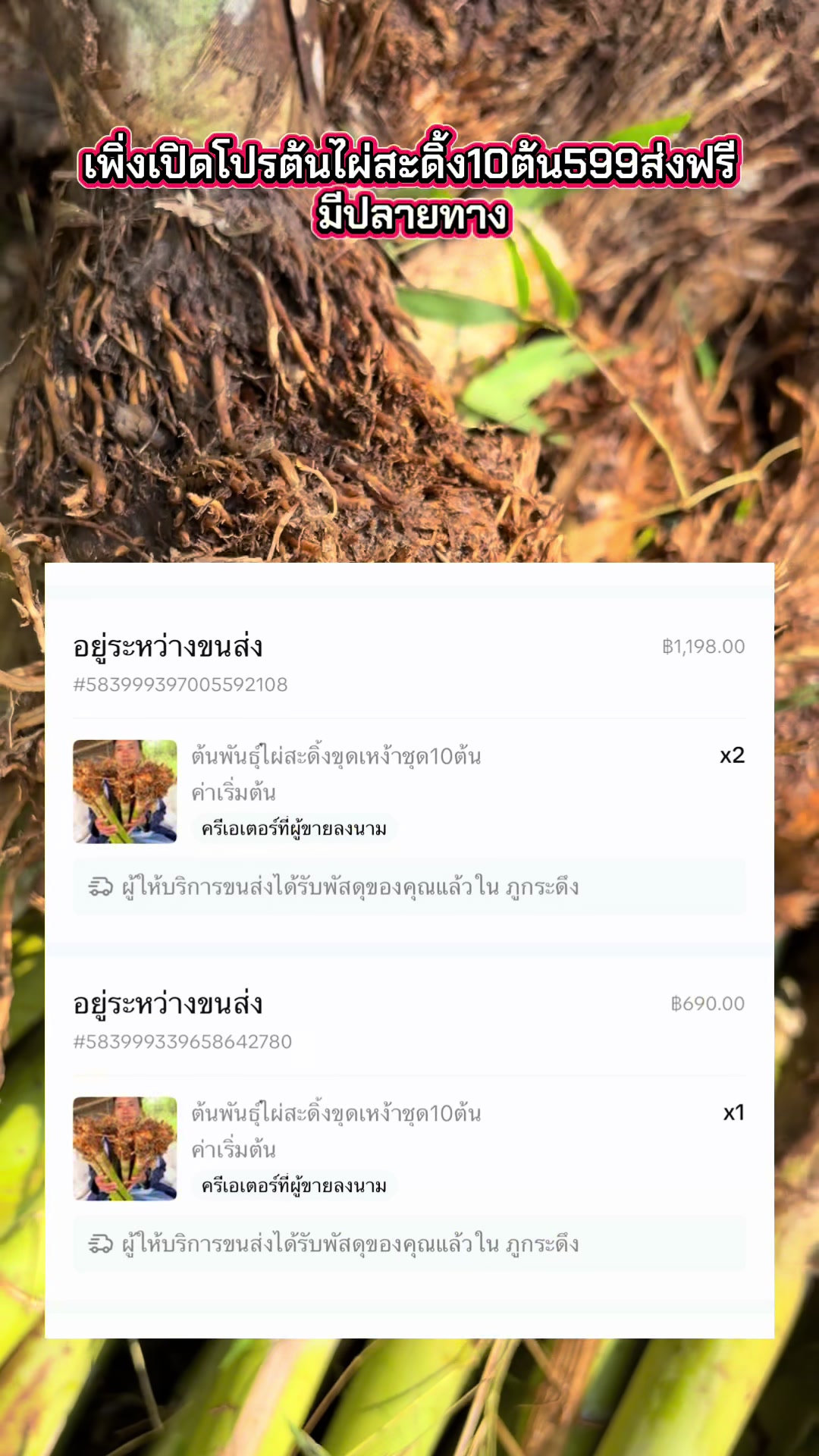 @นัดดาชอป