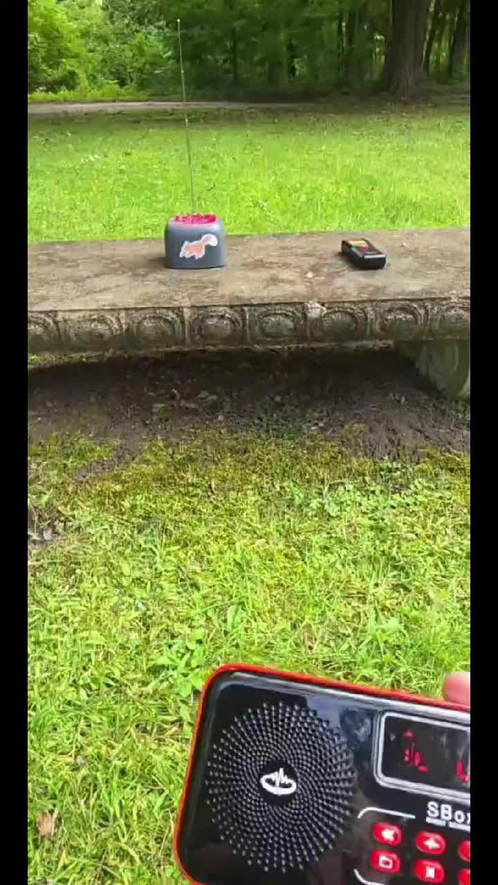 @Trifoliumgirl
