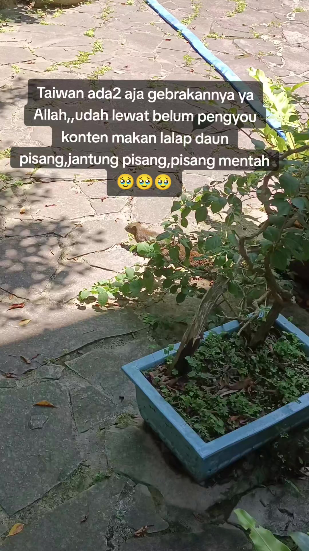 @YennyHarun