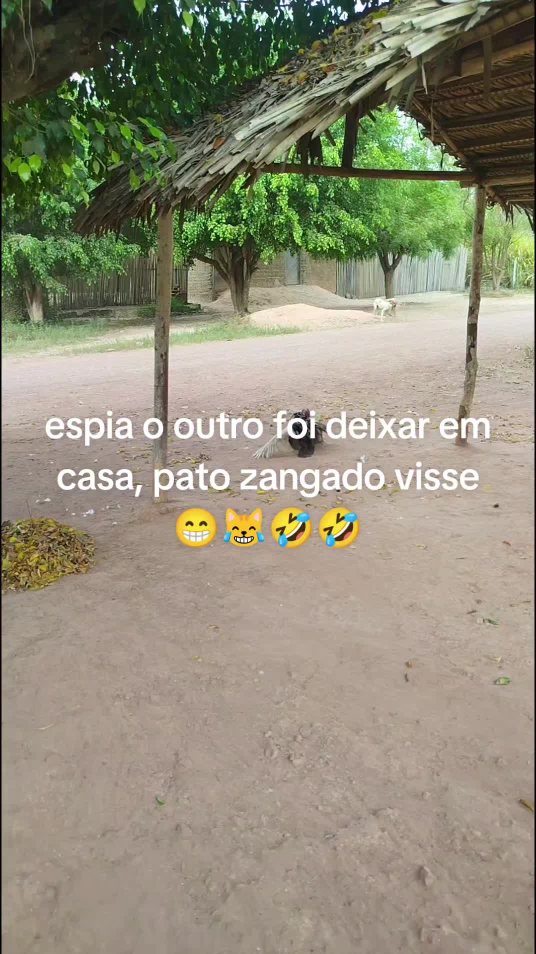 @Mauricelia Sousa 🌻💟