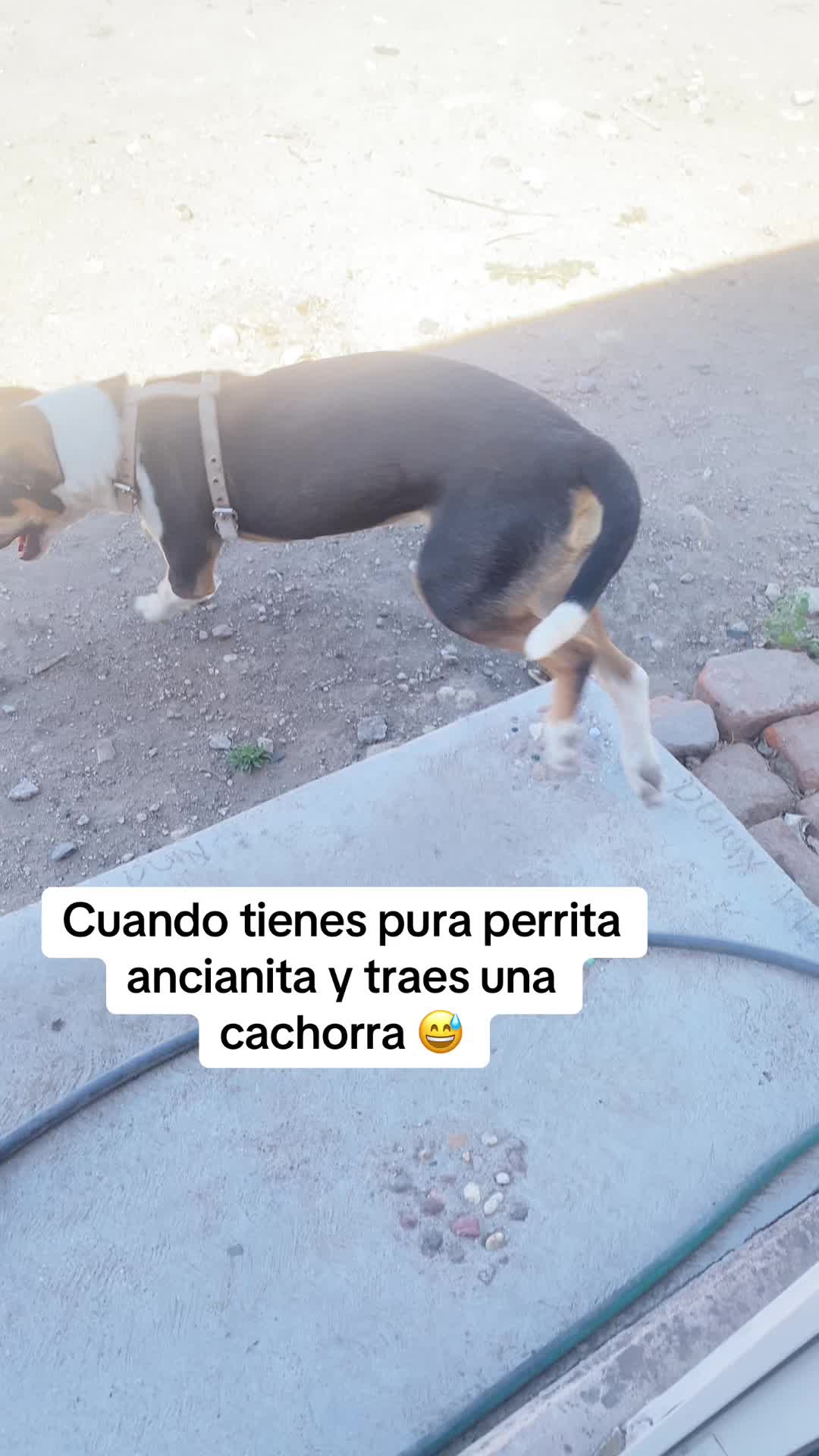 @L A X H I N A