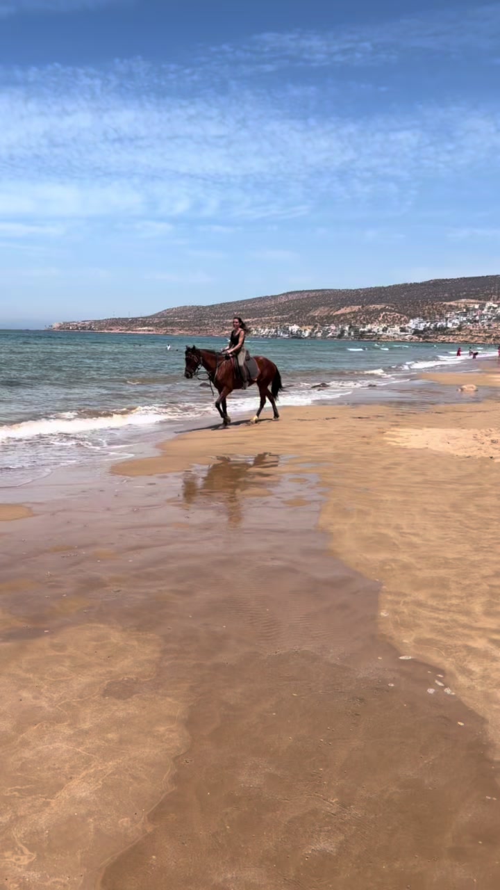 @Cheval_agadir