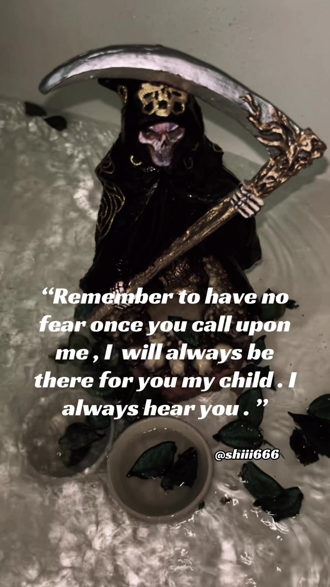 @Shiii666