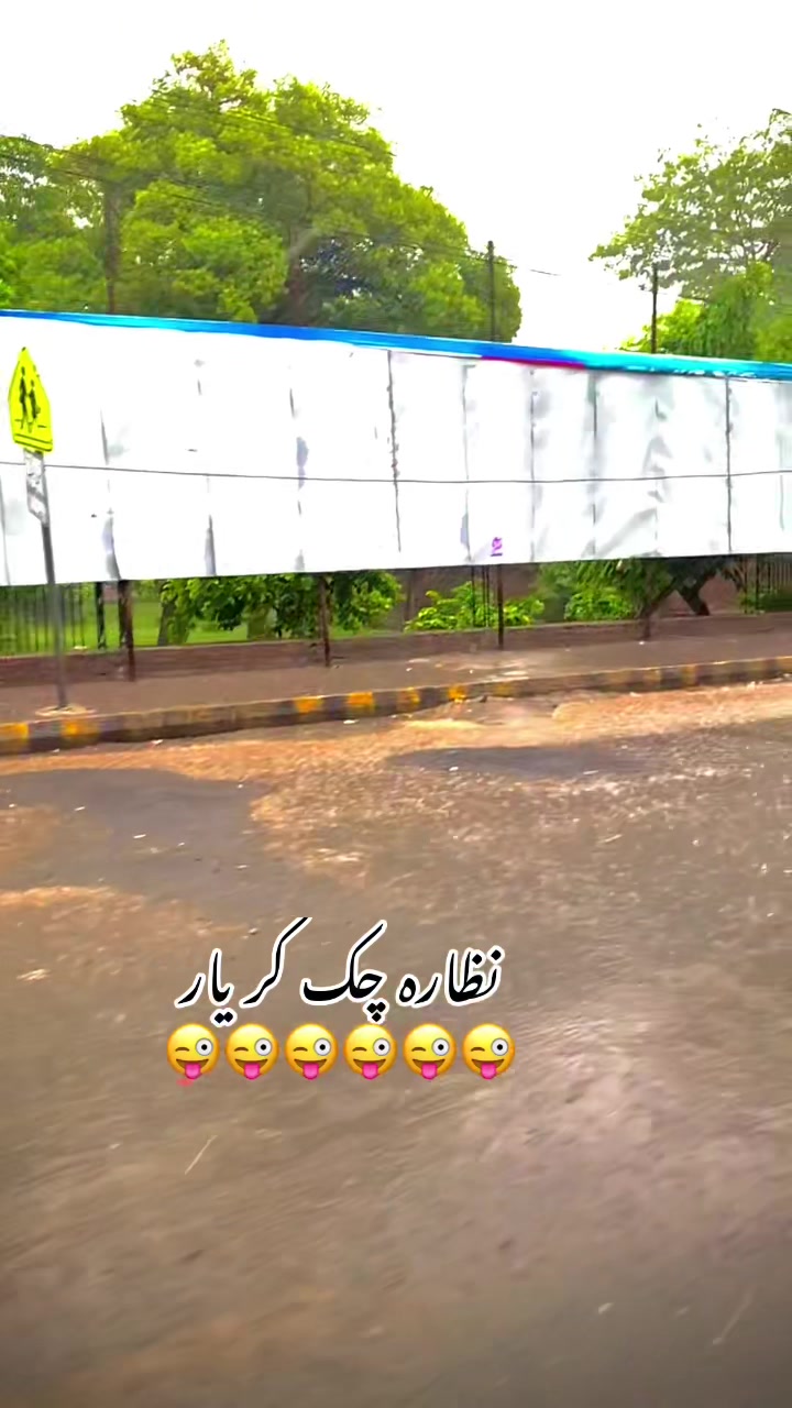@foji sajjad