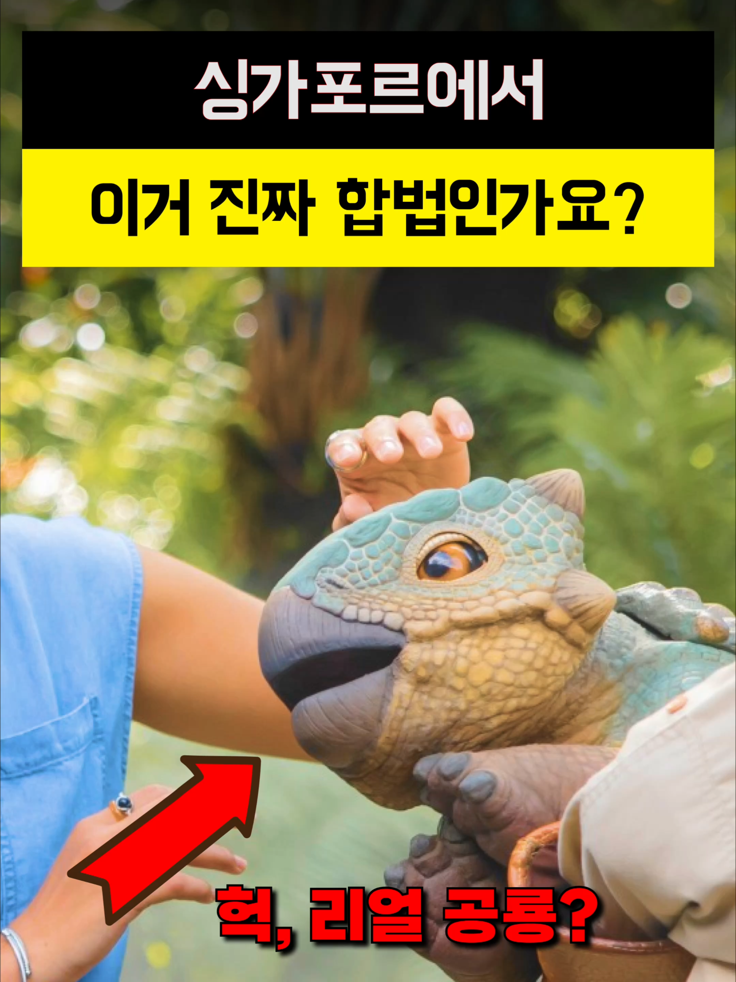 @예스준 - 세계일주 하는 직장인