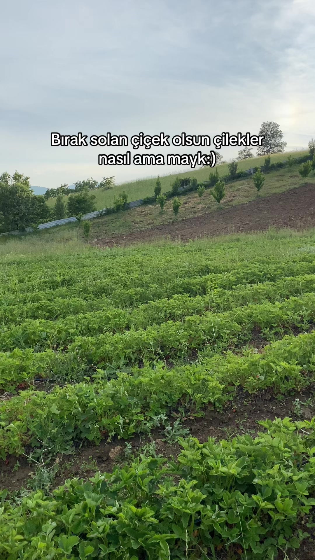 @KADİR KAYIR
