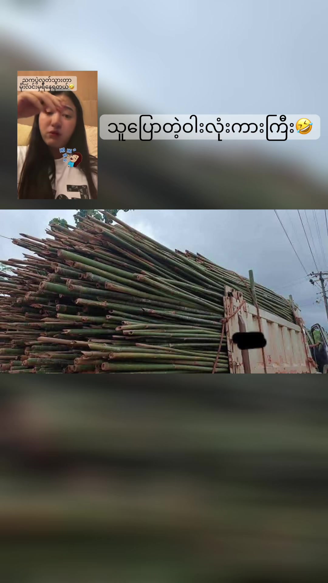 @thaesu