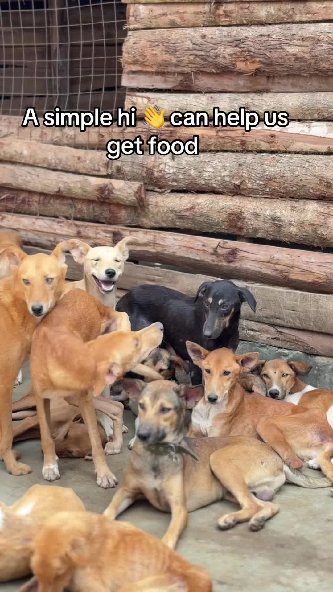 @furry_care_haven