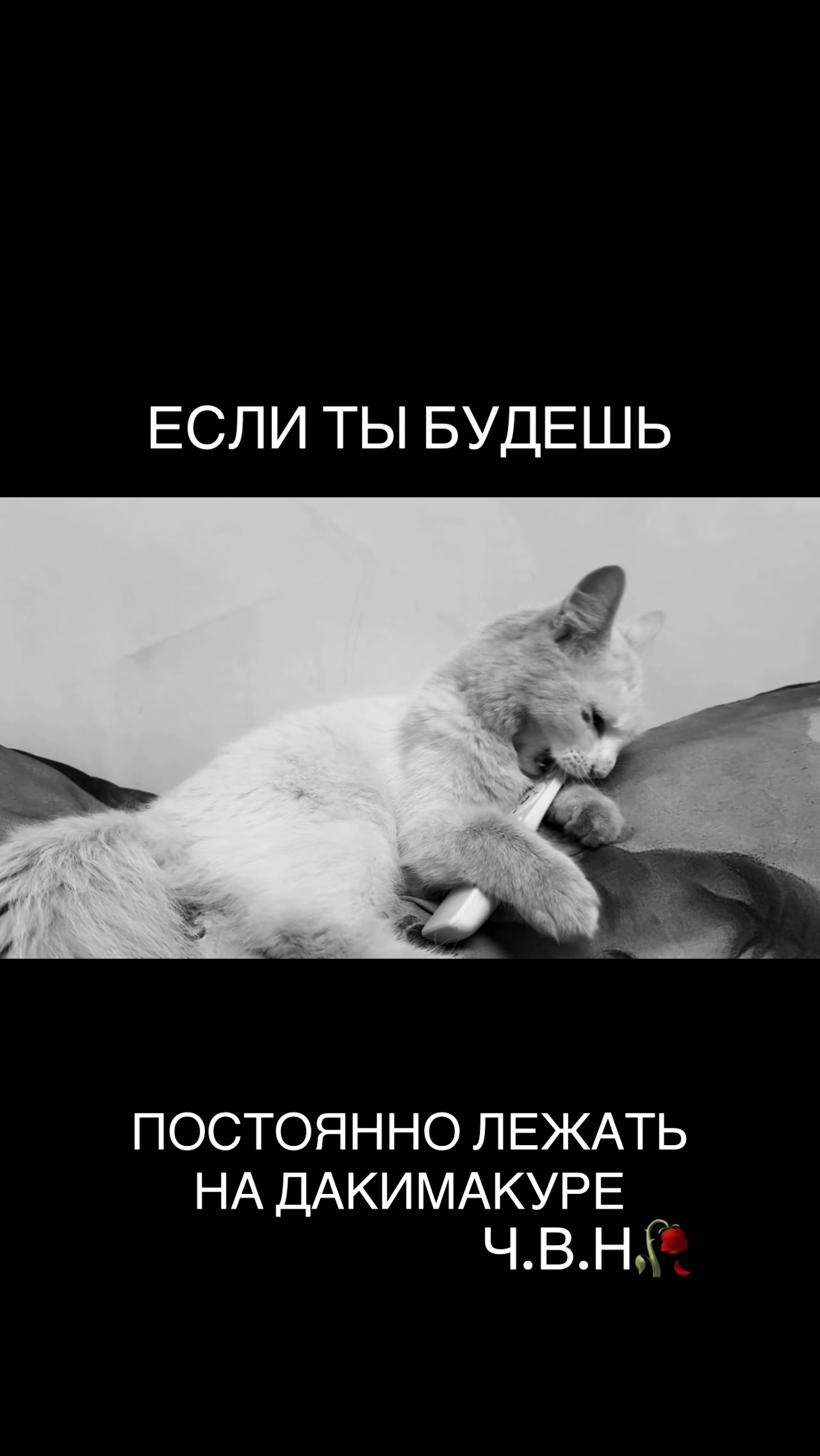 @Арина