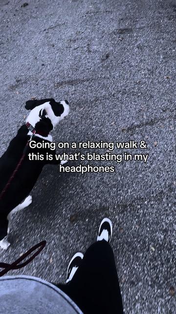 @chudxnorris