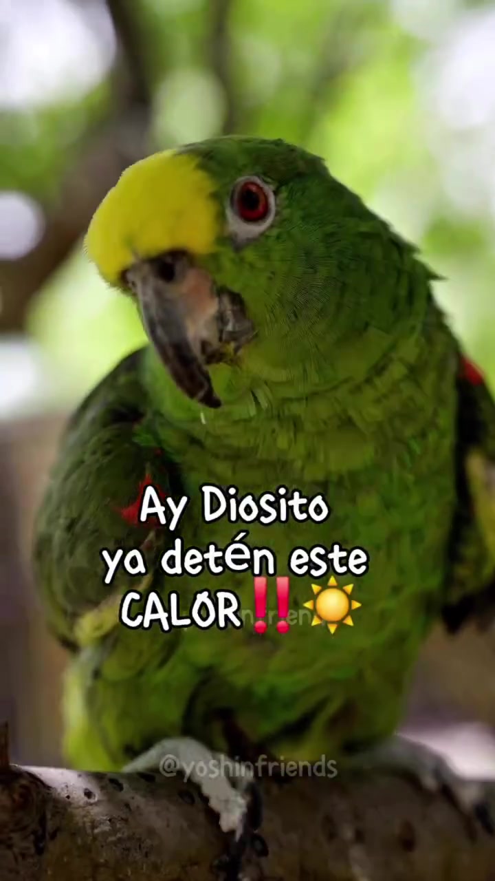 @Elizabeth Mendoza