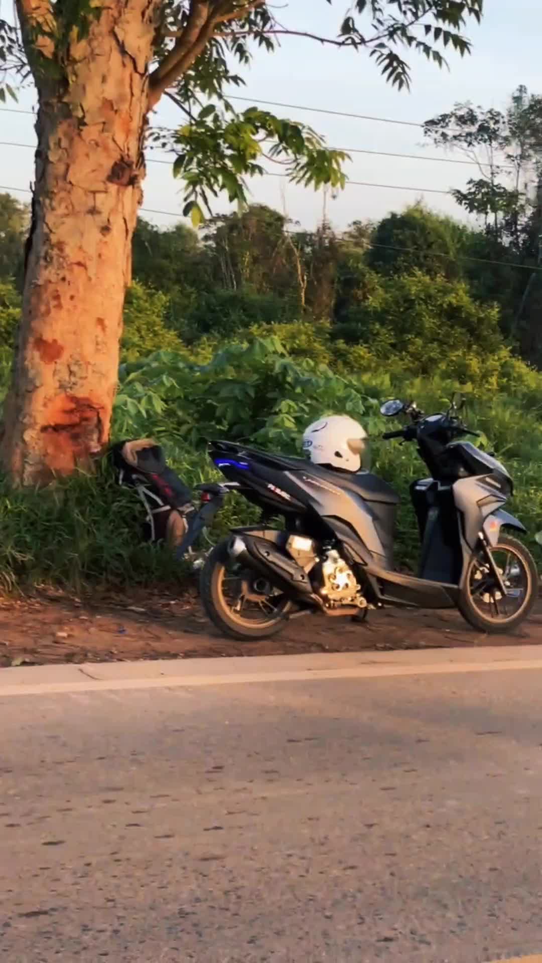@V ɪ ɴ ᴢ.