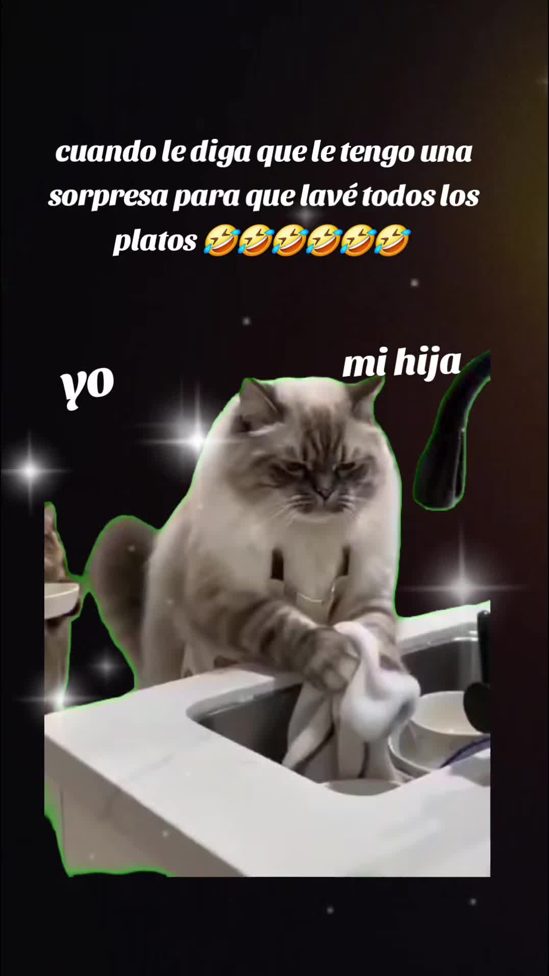 @𝕝𝕦𝕟𝕒🐦🔥🌘