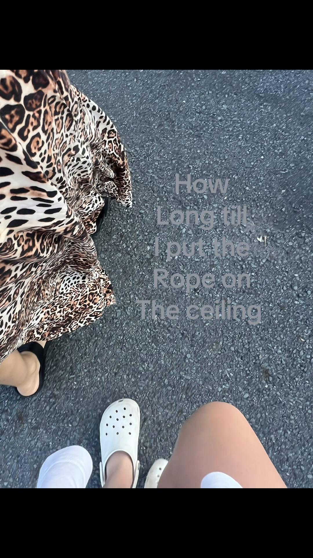 @🎭🦓