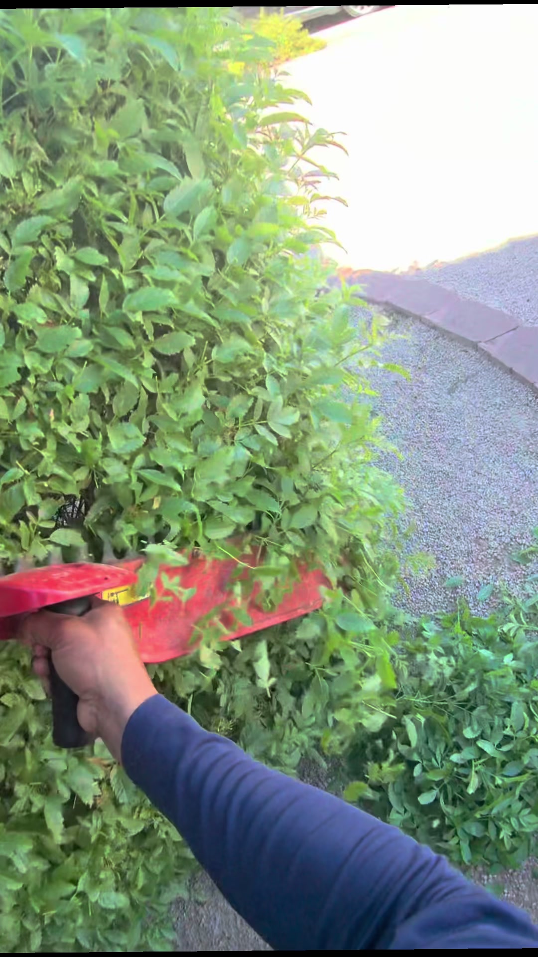 @landscaping