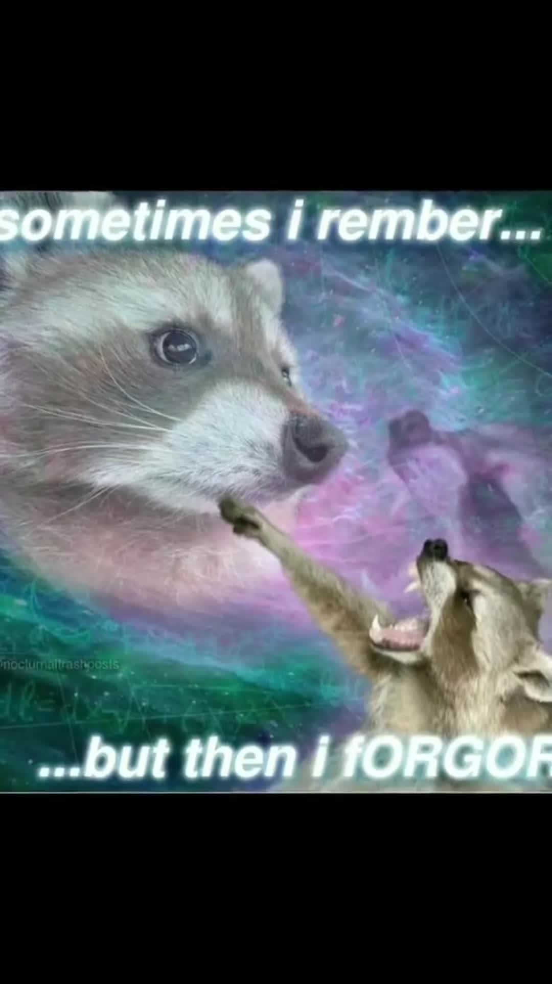 @playboyraccoon