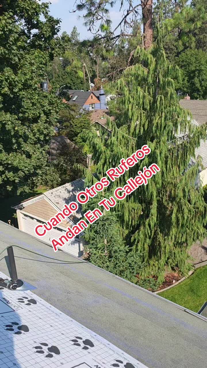 @🇪🇨🇺🇸593ROOF🇪🇨🇺🇸