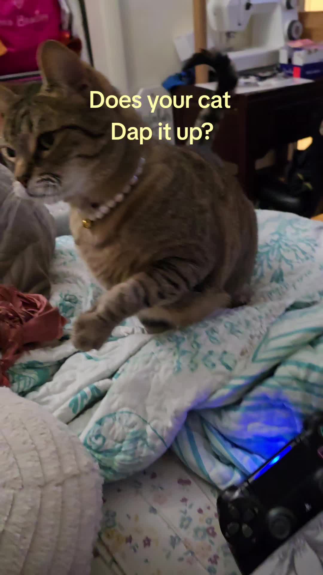 @megamadnesssss