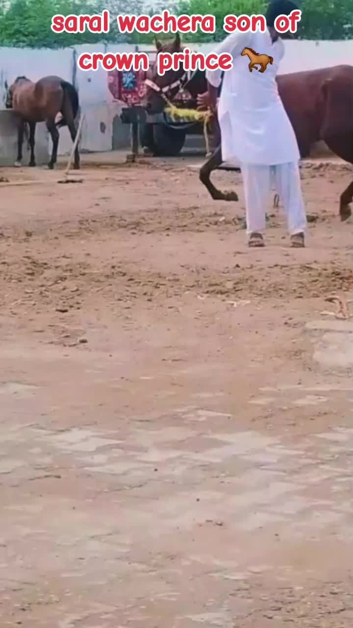 @GUJJAR BADSHAH CHAK PIRANA