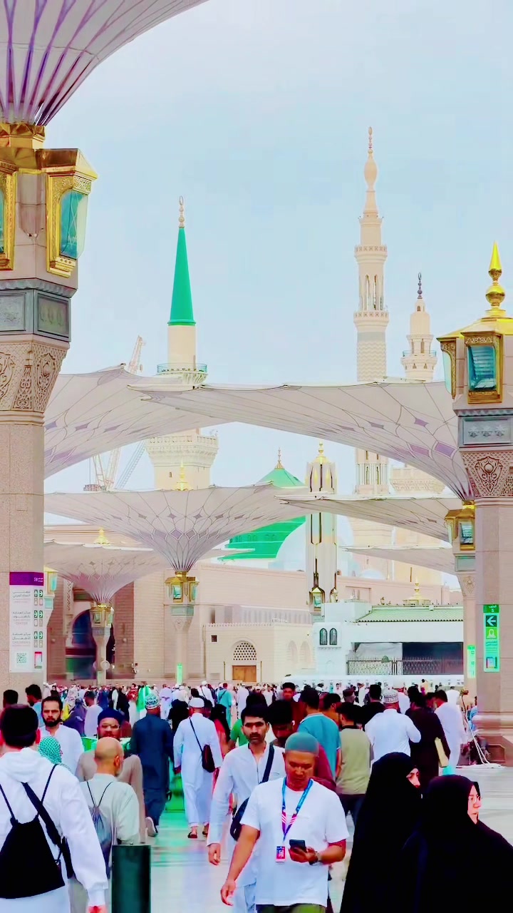 @Hassan🕋muhammad