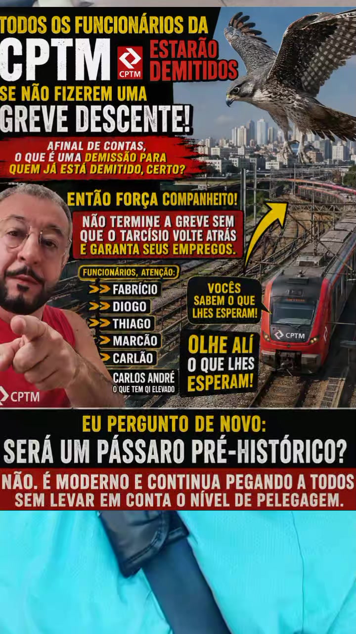 @REINALDO T.C