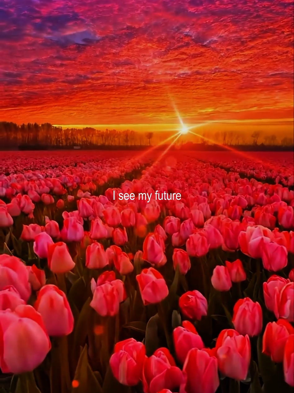 @Izzalyrics