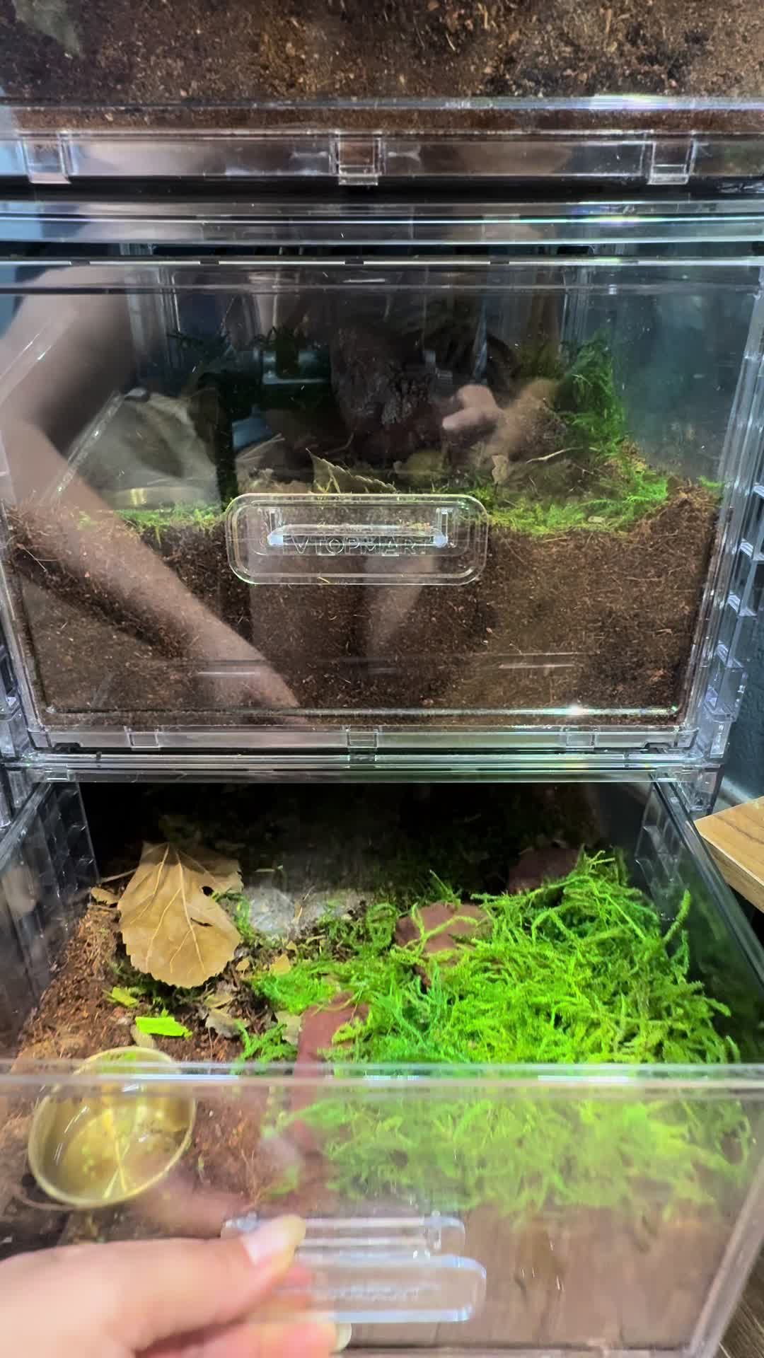 @dannys_fish_and_plants
