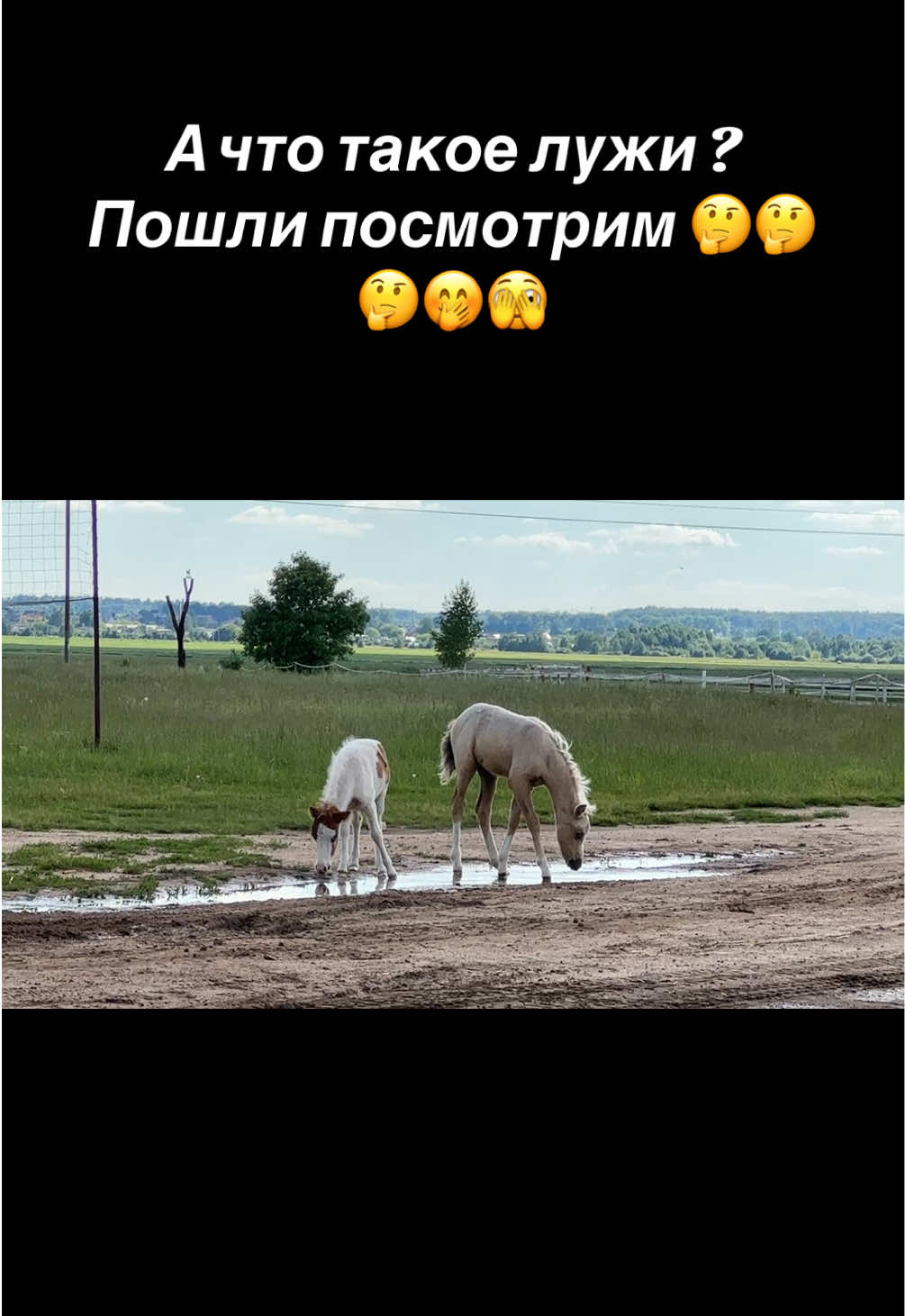 @Анастасия Чернявская.
