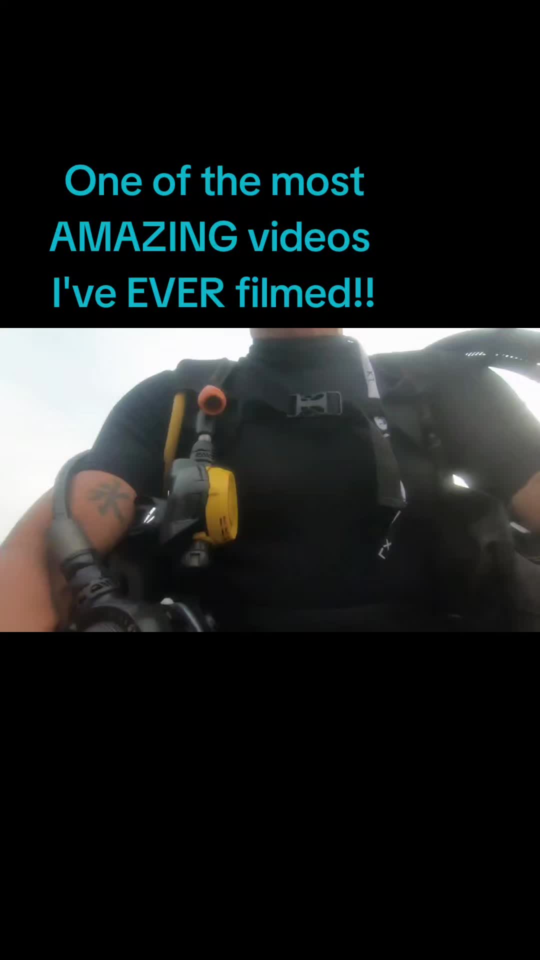 @shannonr
