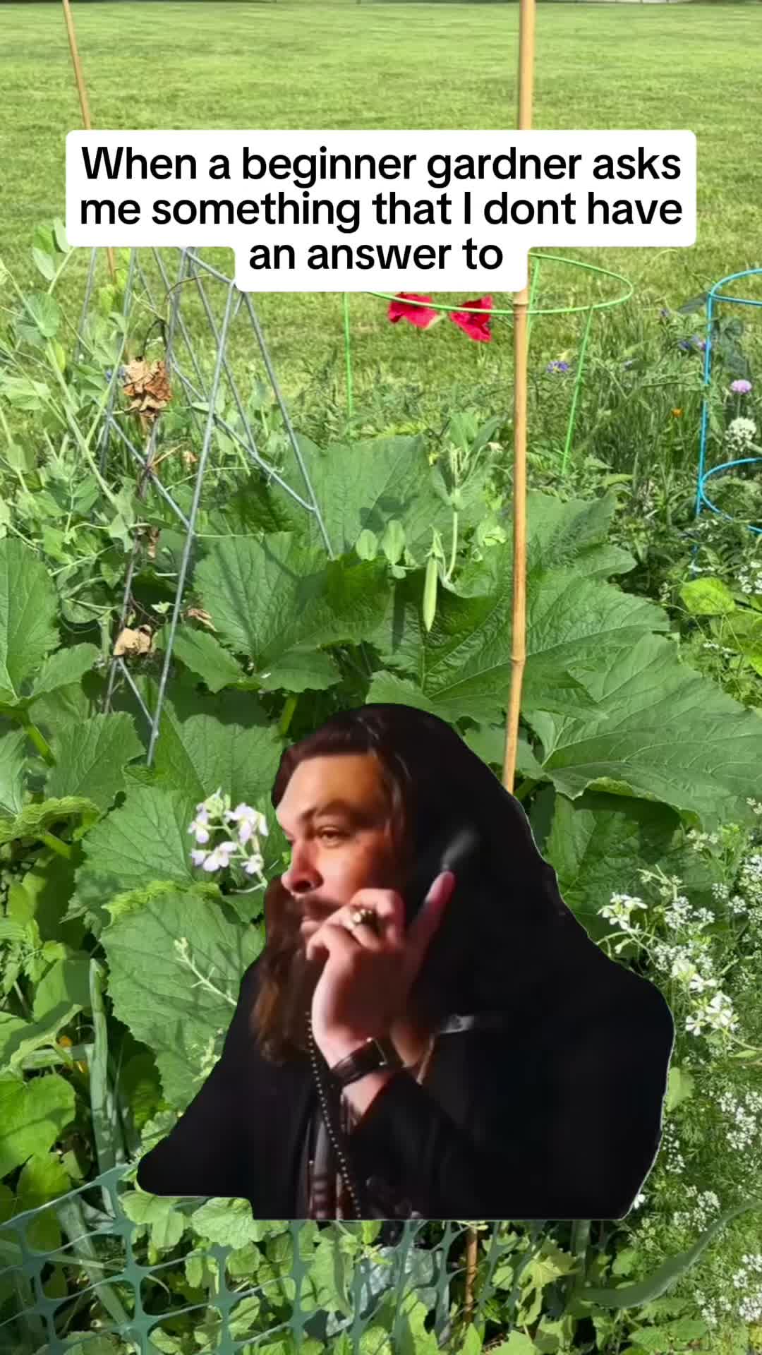 @greengirlgardens