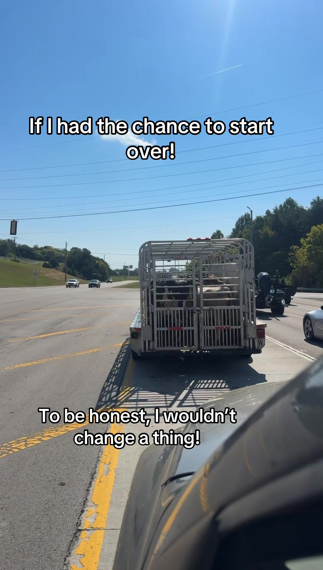 @tripleclivestock