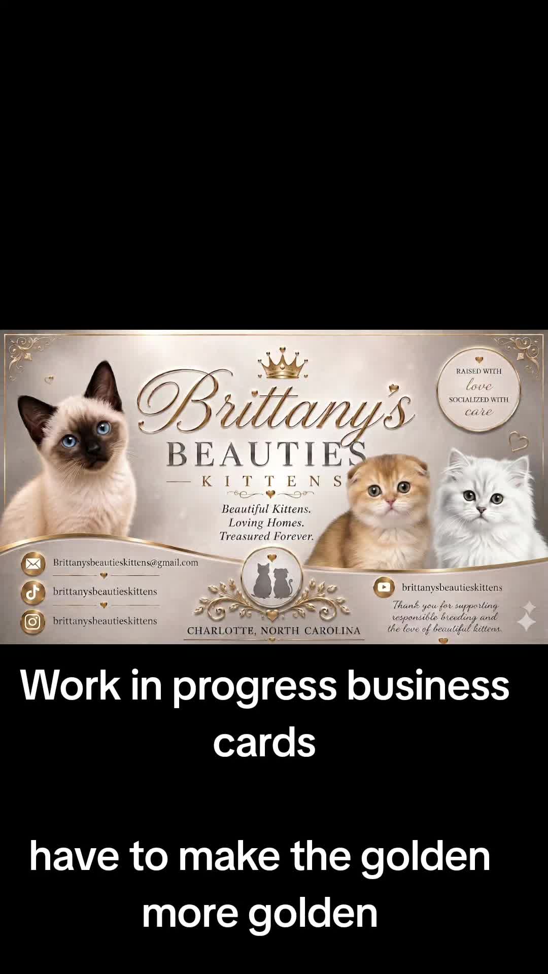 @Brittany Beauties Kittens