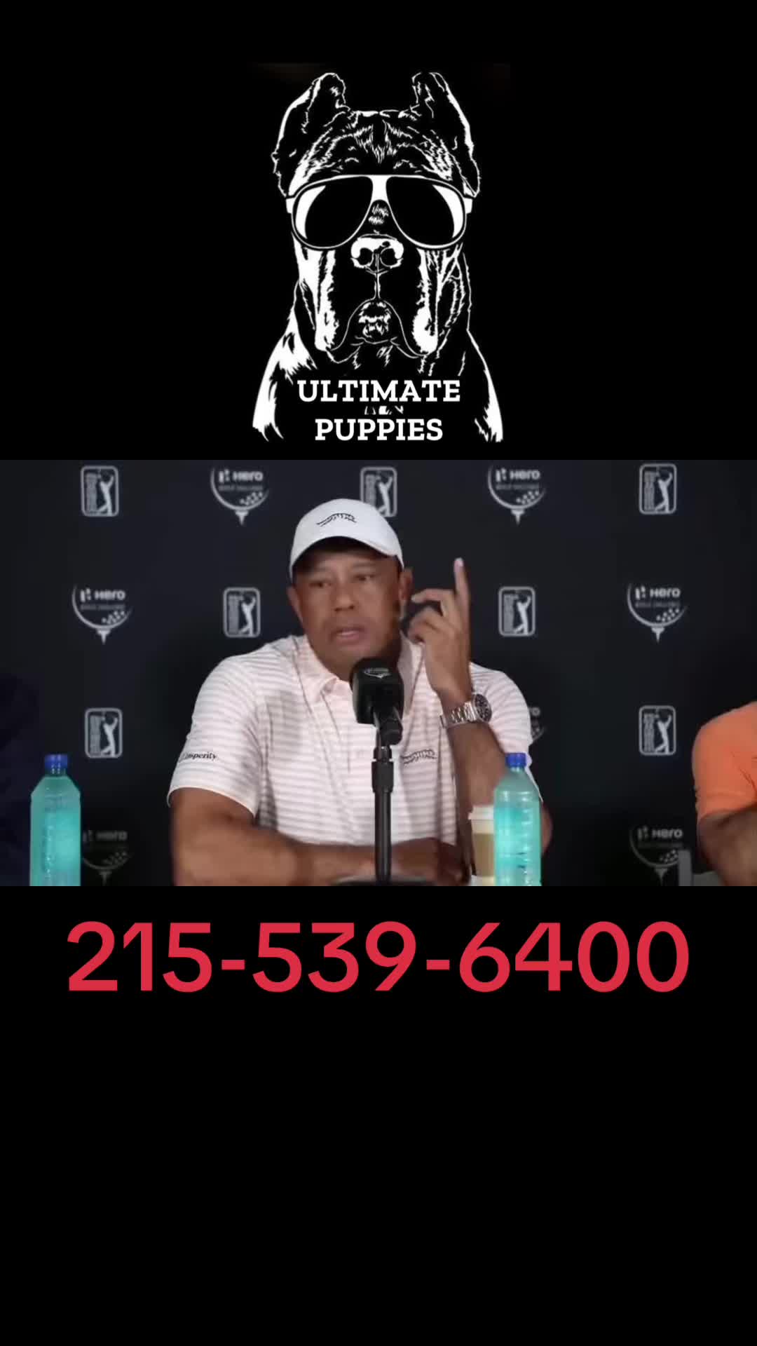 @Ultimate Puppies