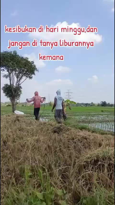 @tajek jay